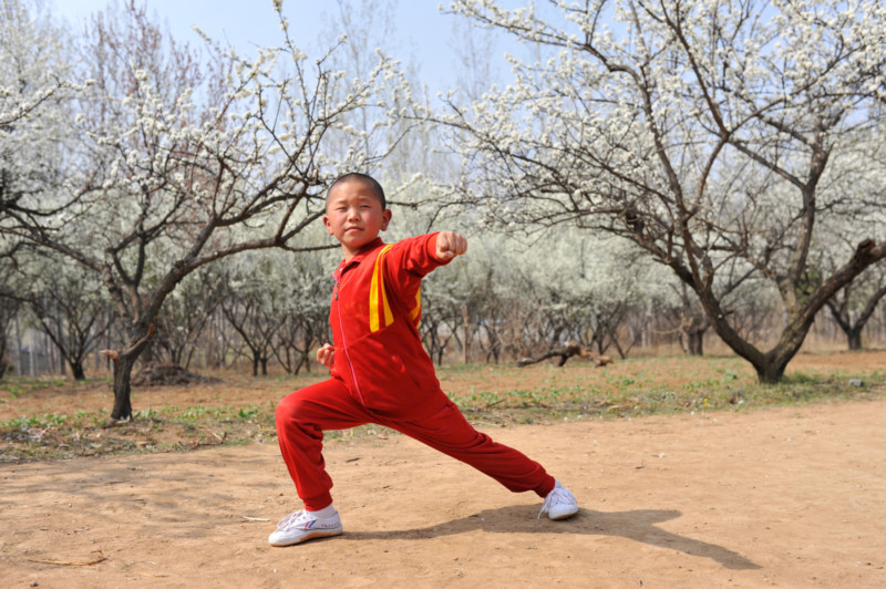 shaolin kung fu kampfsport kinder schweiz