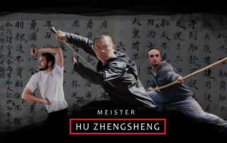 shaolin xinyiba workshop schweiz