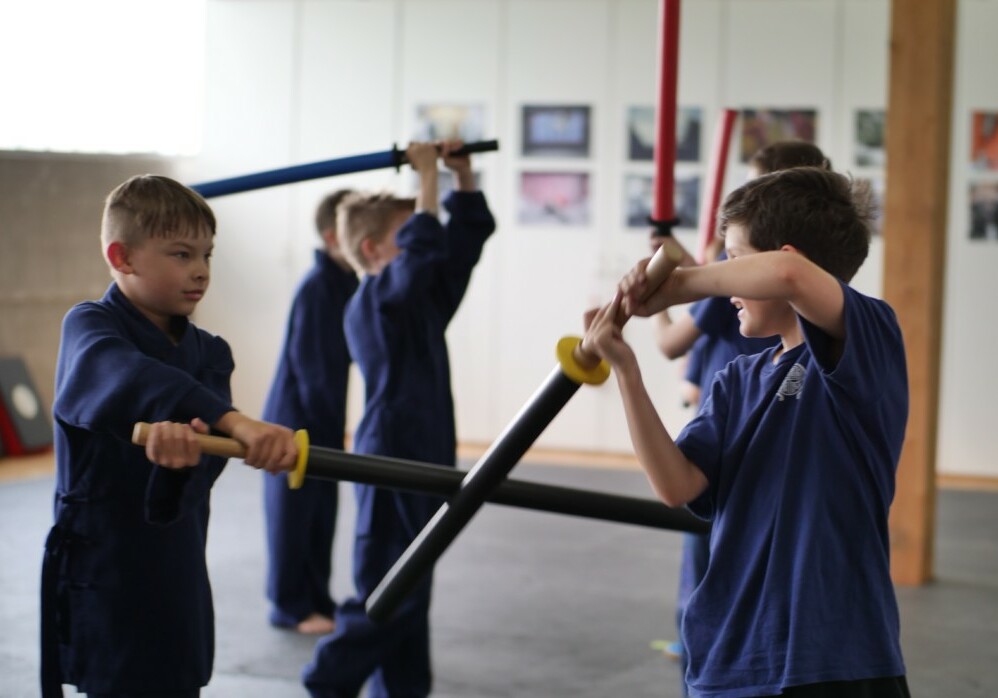 Kinder Kung Fu Kampfsport Sursee